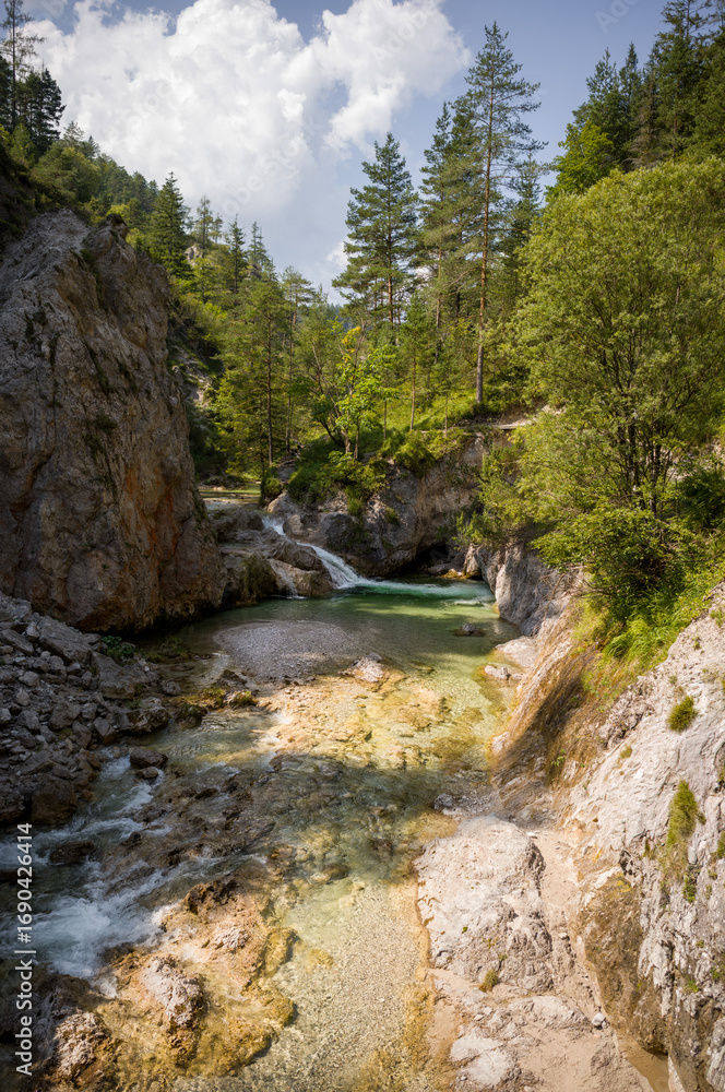 Fototapeta premium Mountain Stream Through Forested Gorge