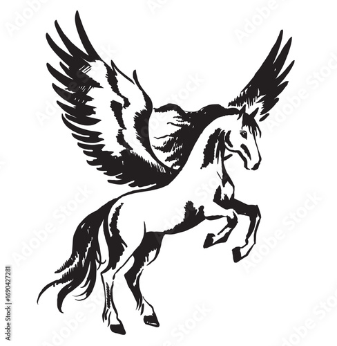 Monochrome pegasus sketch vector illustration. Winged horse side view black and white design. Pegasus horse with feather wings