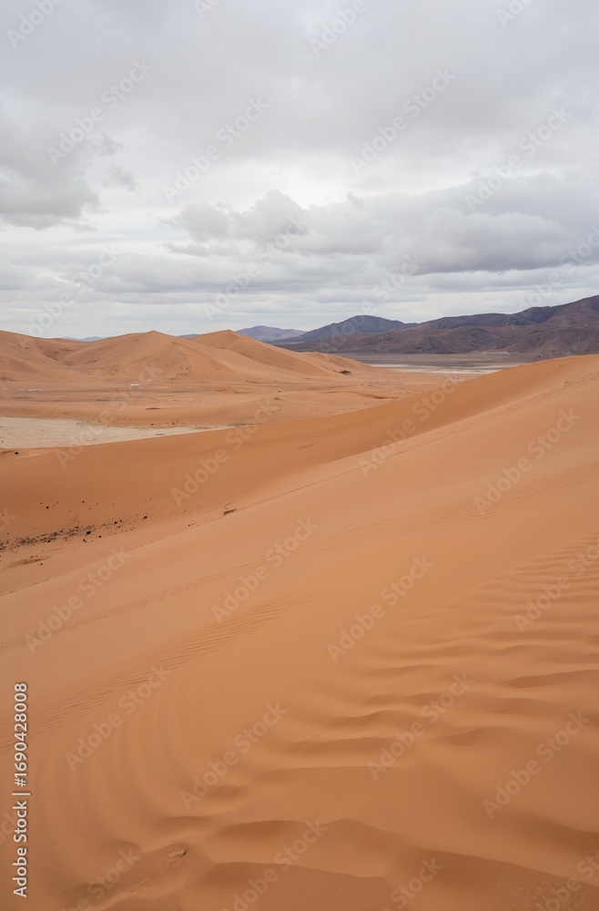 sand dunes in the sahara desert sand dunes in the sahara desert