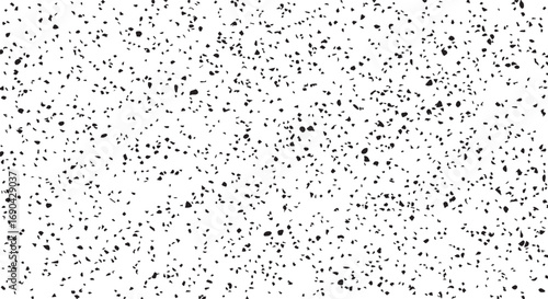 White Surface with a Random Distribution of Small Black Irregular Shapes Keywords: texture, background, pattern, noise, grunge, speckled, dots, irregular, scattered, abstract, monochrome, black and
