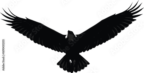 Majestic bird silhouette flying with wings wide open, powerful eagle or hawk vector perfect for nature, freedom, wildlife, and sky themes.