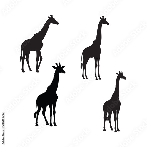 giraffe silhouette black digital art vector illustration