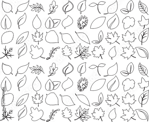 leaf, leaves, plant, nature, foliage, outline, silhouette, drawing, illustration, botanical, organic, green, tree, branch, maple, oak, monstera, sprout, growth, season, autumn, spring, summer, design,