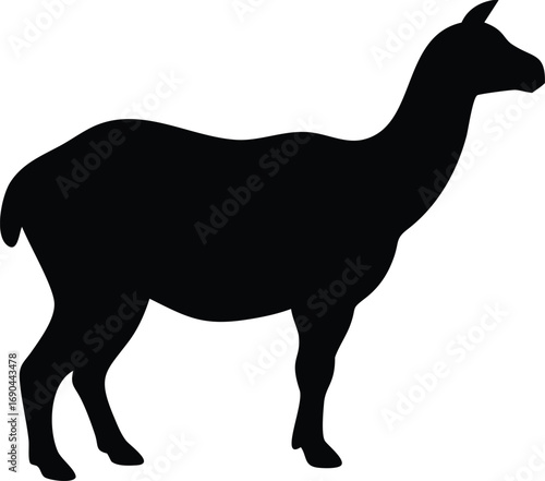 Alpaca Silhouette Standing Animal on White Background