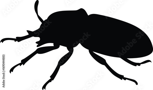 Black Scarab Beetle Insect Silhouette Bug on White Background Flat Icon