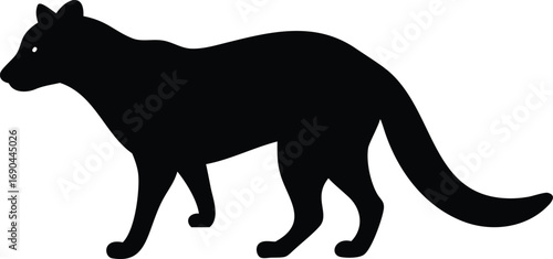 Black Silhouette of a Walking Tayra on White Background Animal Design
