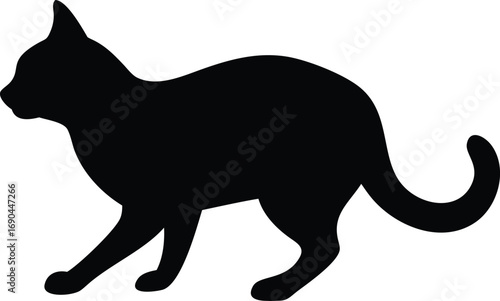 Cat Silhouette on White Background, Domestic Feline Stalking