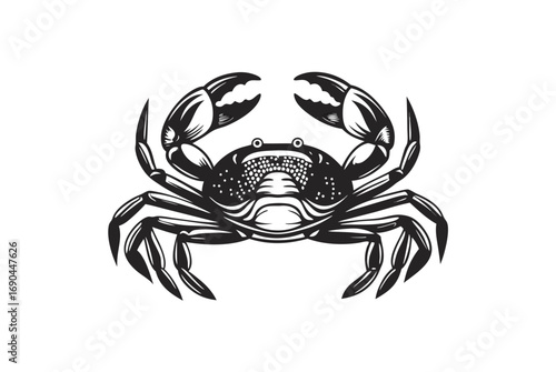 Crab with Detailed Shell and Claws on White Background Design