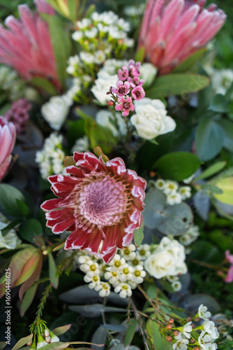 Wallpaper Mural Closeup of bouquet featuring proteas, pink and white Geraldton wax, and white roses Torontodigital.ca