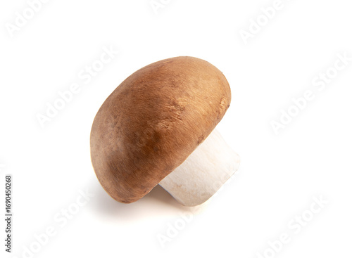 One whole fresh brown champignon mushroom isolated on white background