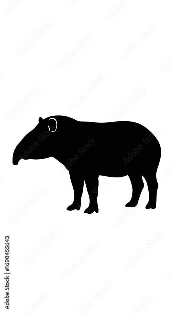 Obraz premium Silhouette of a tapir, a large herbivorous mammal.