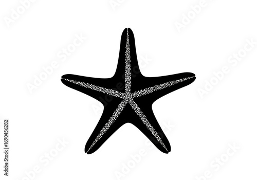 A detailed black and white illustration of a five-pointed starfish with a white outline on its arms and central body.