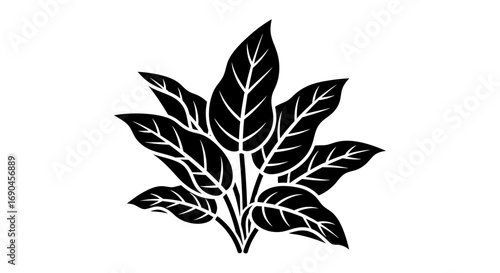 Black glyph icon of Aglaonema broad leaves, isolated on white background