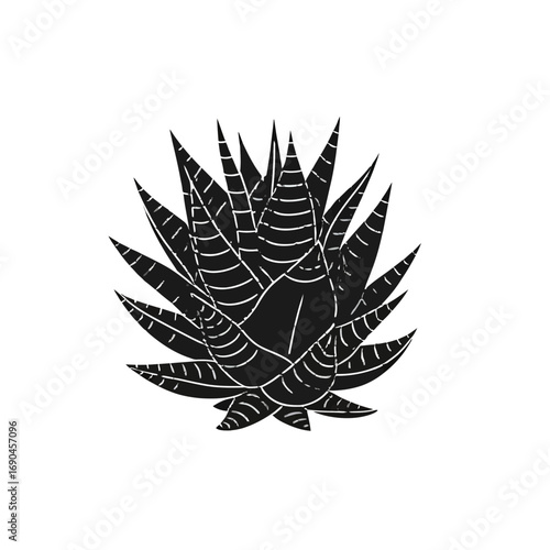 Black glyph icon of Haworthia spiky succulent, isolated on white background