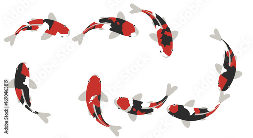 Illustration of koi fish swimming in a circle, with red, white, and black markings.