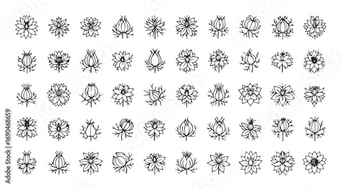 Collection of intricate ornamental flourishes and decorative elements silhouette