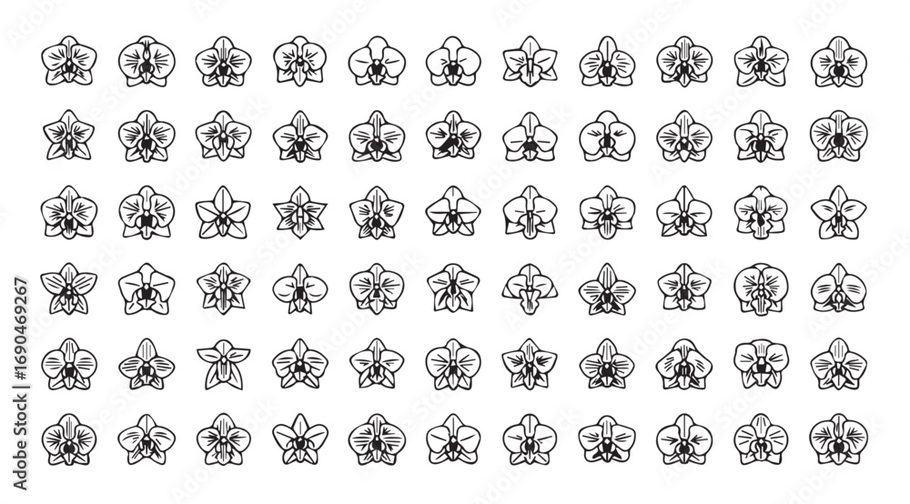 Fototapeta premium Collection of intricate floral and abstract ornamental designs in a detailed silhouette pattern