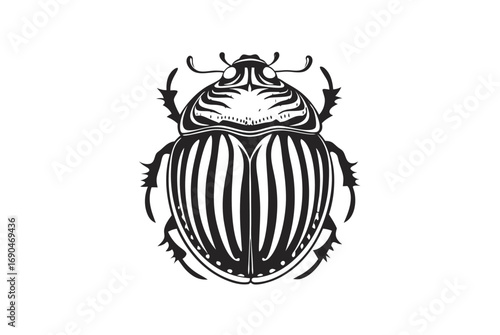 Ornate Scarab Beetle with Intricate Details on White Background Design