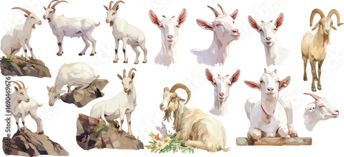 goat watercolor clipart
