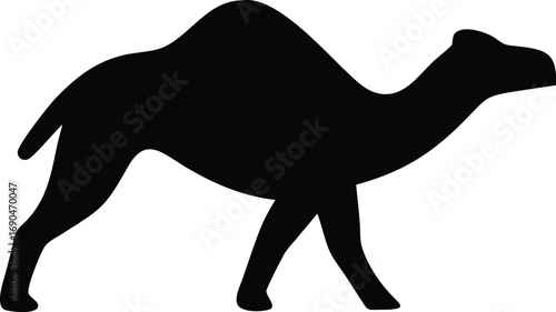Silhouette of a Camel Walking with Humps on a White Background