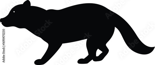 Silhouette of a Stoat Animal Walking on White Background