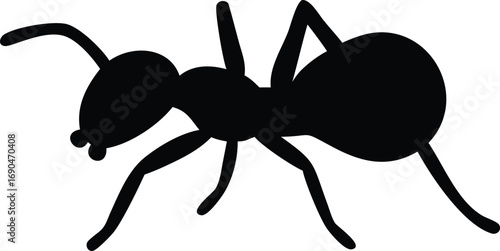 Silhouette of an Ant with Detailed Legs Isolated on White Background