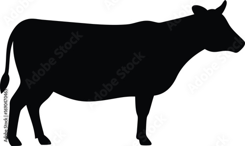 Silhouette of an isolated cow on white background