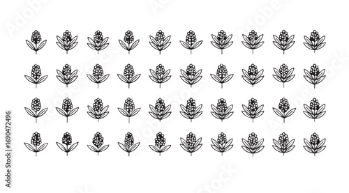 Collection of intricate ornamental anchor silhouettes for design and tattoo inspiration