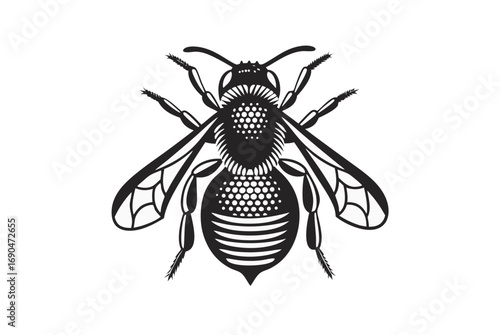 Stylized Black and White Bee with Detailed Wing Veins