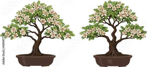 Bonsai tree with cream flowers and pink centers in decorative pot, artistic miniature plant, traditional Japanese horticulture, lush foliage, blooming ornamental indoor garden display