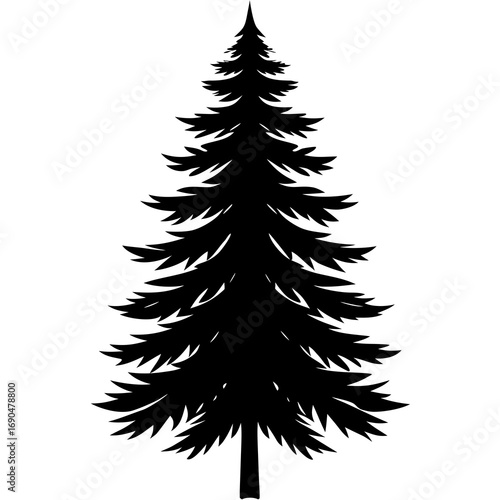 Isolated evergreen tree vector with green branches and decorations, perfect for Christmas or holiday illustrations