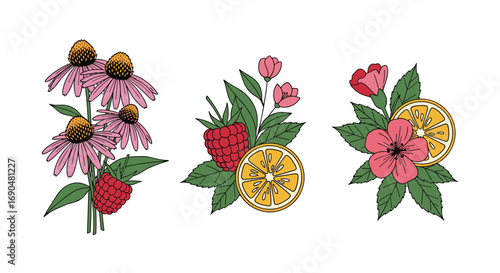 Vibrant floral arrangements featuring echinacea raspberries citrus slices and delicate blossoms perfect for summer designs