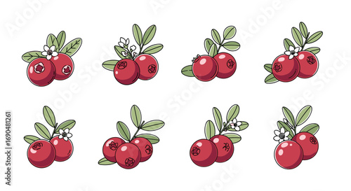 Illustrations of fresh red lingonberries with green leaves and stems for healthy food and beverage designs