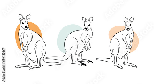Minimalist line art illustration featuring three kangaroos with abstract circular background elements