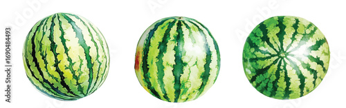 Watermelon watercolor fruit slice illustration hand drawn fruit berry clip art