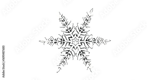 Intricate snowflake illustration with delicate frost patterns on a clean white background
