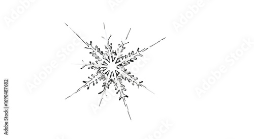 Intricate frozen snowflake pattern against a clean white background, symbolizing winter's delicate beauty.