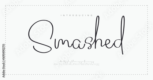 Smashed Script Elegant Signature Typeface. Lettering signature font isolated on background. brush style alphabet. Vector logo letters.
