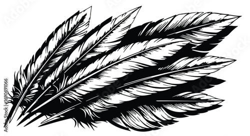 A delicate cluster of monochrome feathers, artfully arranged with subtle shading