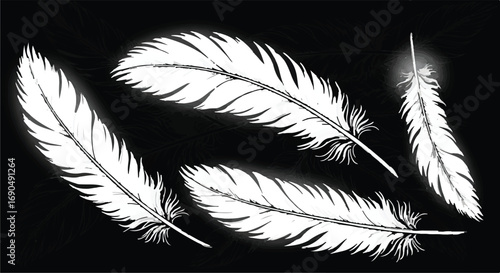 Ethereal white feathers floating delicately against a dark, moody background, symbolizing lightness and freedom.