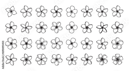 Collection of hand drawn plumeria flower silhouettes in black and white