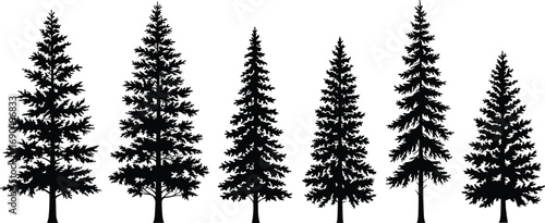 Black pine tree silhouettes, evergreen coniferous trees, nature vector set, forest tree outlines, isolated tree icons, seasonal outdoor designs
