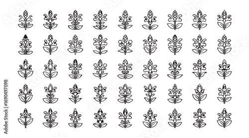 Collection of intricate floral and botanical decorative elements in a silhouette style