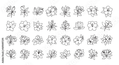 Collection of delicate hand drawn floral botanical illustrations in silhouette