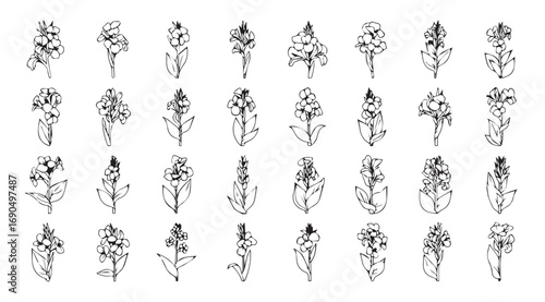 Collection of delicate floral sprigs and branches in a silhouette style