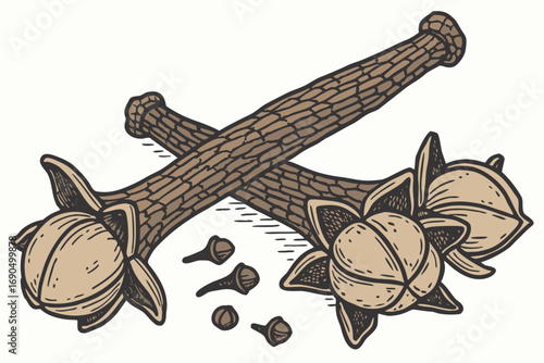 Scientific botanical illustration of dried cloves spice in vintage style