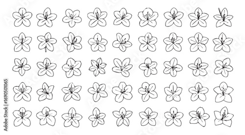 Collection of delicate floral line art drawings in a silhouette style