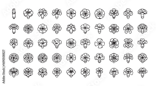 Collection of intricate floral and botanical ornament designs in silhouette style