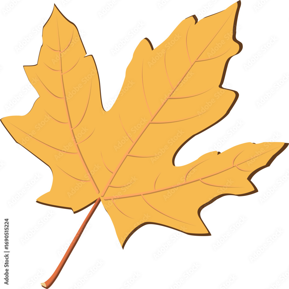 Fototapeta premium Yellow Maple Leaf Clipart, Autumn Vector Illustration