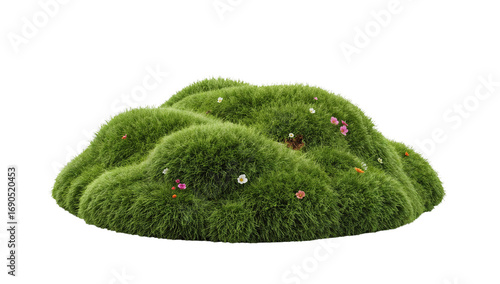 Isolated grassy mound with wildflowers, evoking a miniature landscape element against transparency